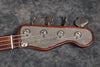 2005 James Trussart Steelcaster PJ Bass - Ex-Black Crowes