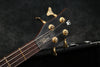 2005 Warwick Corvette FNA JazzMan, Honey Violin