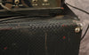 1966 Ampeg B15NF