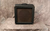 1966 Ampeg B15NF