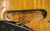 1955 Fender Precision Bass, Sunburst Refin