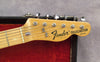 1973 Fender Telecaster Thinline, Natural