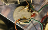 1975 Gibson Ripper Bass, Natural