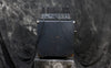 1966 Ampeg B15NF