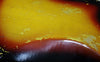 1963 Fender Bass Ⅵ, Sunburst