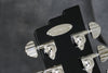 Duesenberg Starplayer TV, Silver Sparkle
