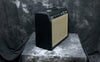 1965 Fender Vibro Champ