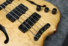 2000 Warwick Infinity NT5 - Birdseye