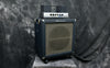 1965 Ampeg B15NC