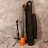 NS Design CR4 Electric Upright Bass