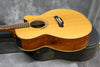 1997 Takamine Santa Fe Limited Edition, Natural