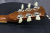 1974 Gibson ES-335 TD, Walnut