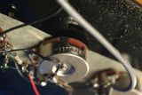 1976 Rickenbacker 3001, Autumnglo