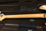1982 Peavey T-20, Natural