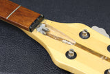 1976 Rickenbacker 3001, Autumnglo