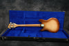 1976 Rickenbacker 3001, Autumnglo