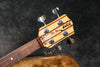 1979 Wal Pro 1E Fretless - Black