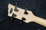 Duesenberg Alliance Series Chris Chaney Signature Bass - Black