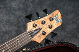 2020 Fodera Imperial Elite 5-String - Spalted Maple Top