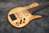 2020 Fodera Imperial Elite 5-String - Spalted Maple Top