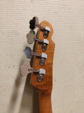 Vuorensaku T.Family "I.M.A. Signature" - Pink Paisley (Light Relic)
