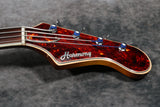 1967 Harmony H27, Sunburst