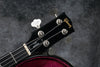 1975 Gibson Ripper Bass, Ebony