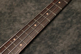 Olinto 4-String P - Burgundy Mist Relic