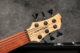 Roscoe SKB Custom 3006, 6-String, Fretless, Natural