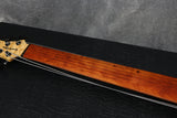 Roscoe SKB Custom 3006, 6-String, Fretless, Natural