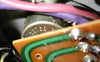 1966 Ampeg B15NF