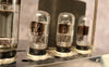 1966 Ampeg B15NF