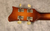 1966 Hofner 500/1