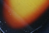 1966 Fender Jazz Bass, Sunburst