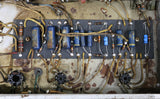 1962 Fender Princeton, Brownface