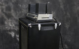1967 Ampeg B15