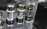 1966 Ampeg B15NF
