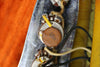 1966 Fender Jazz Bass, Sunburst