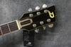 Duesenberg Starplayer TV, Silver Sparkle