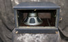 1966 Ampeg SB12