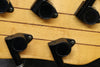 2000 Warwick Infinity NT5 - Birdseye