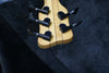 2000 Warwick Infinity NT5 - Birdseye