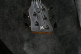 2000 Warwick Infinity NT5 - Birdseye