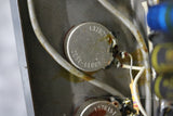 1962 Ampeg B15