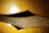 1961 Gibson ES-330 TD, Sunburst