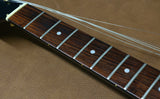 1976 Gibson Bicentennial Firebird - Ebony