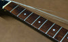 1976 Gibson Bicentennial Firebird - Ebony