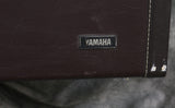 '90s Yamaha BBEAST - Amber Burst
