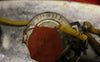 1967 Fender Mustang Bass, Dakota Red