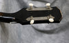 1965 Harmony H22